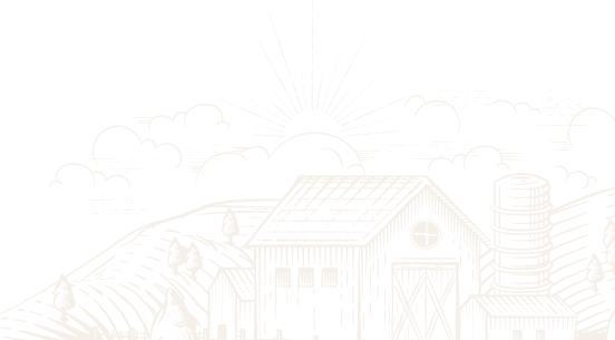 Afyon Adak Merkezi | Akika Kurbanı | Şükür Kurbanı | Afyon Adaklık Kurban