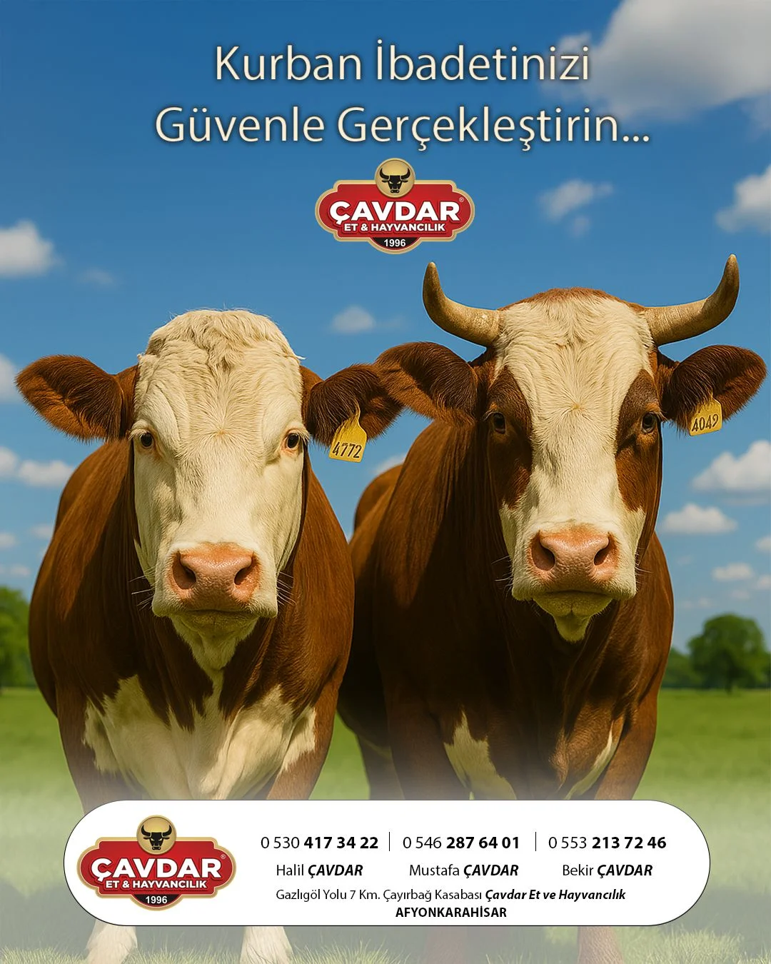 Afyon Adak Merkezi | Akika Kurbanı | Şükür Kurbanı | Afyon Adaklık Kurban