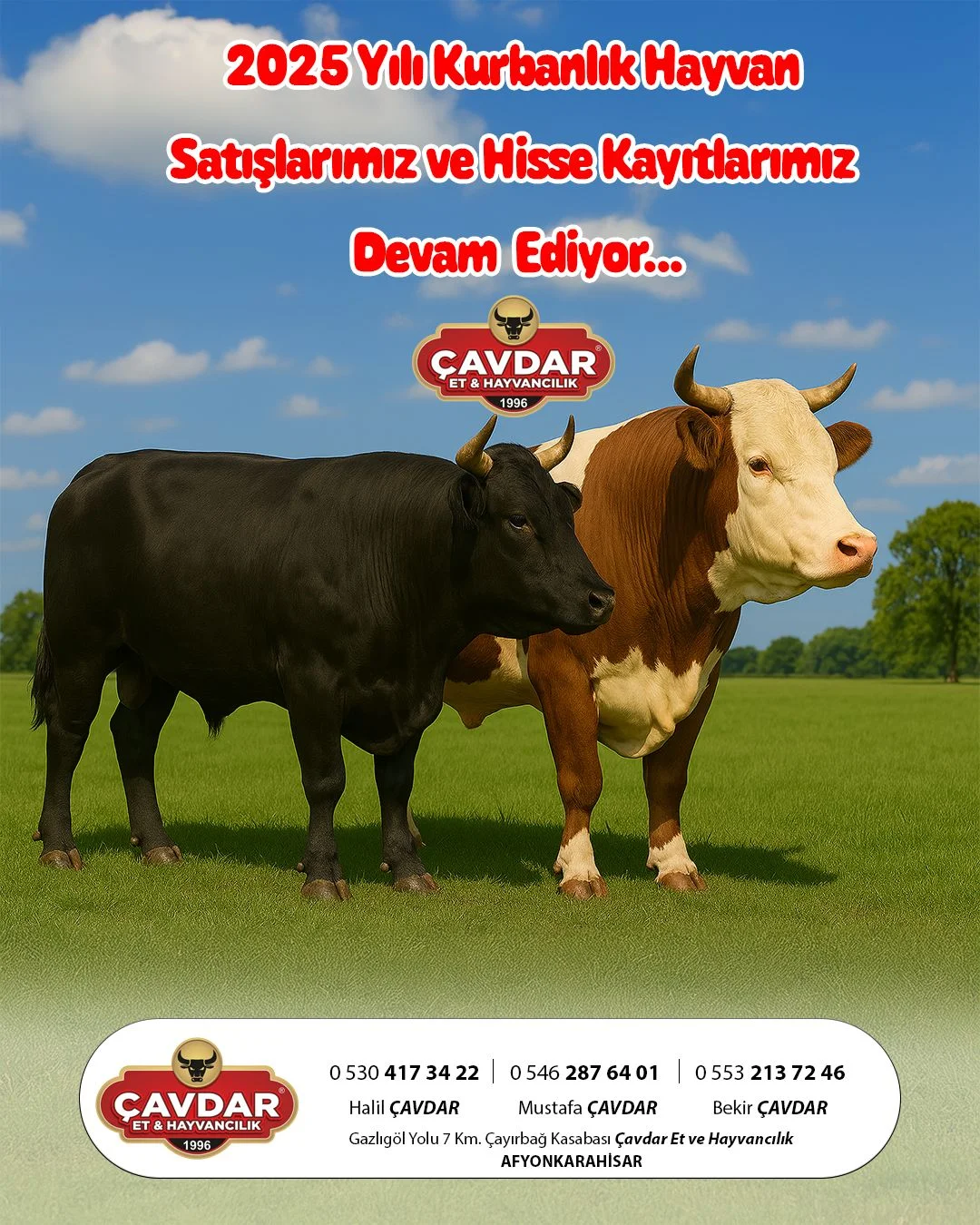 Afyon Adak Merkezi | Akika Kurbanı | Şükür Kurbanı | Afyon Adaklık Kurban